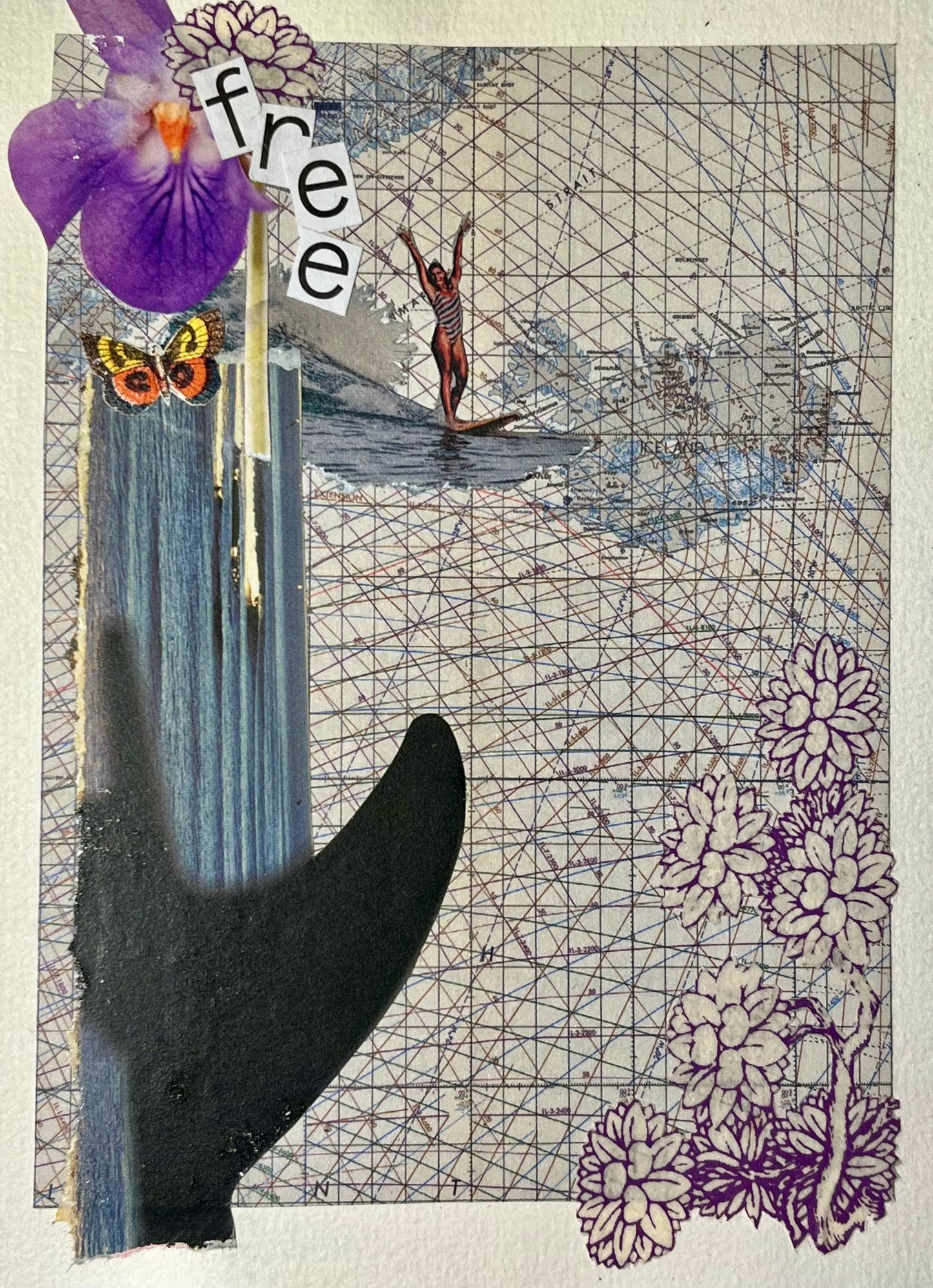 Free - Carte Postale